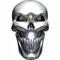 3D Chrome Skull 04 Decal / Sticker