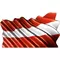 Austrian Flag Waving Decal / Sticker