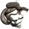 Snake Skull Decal / Sticker 03