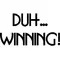 Duh... Winning! Charlie Sheen Decal / Sticker