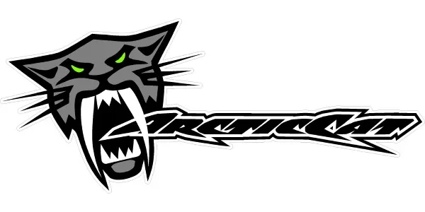 Reproduction Arctic Cat Z Helmet Decals