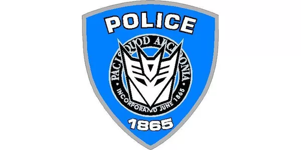 Transformers police decepticon hot sale