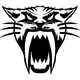 Arctic Cat Head decal / sticker
