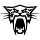 Arctic Cat Head decal / sticker