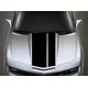 12/6 Inch Off-Set Racing Stripe Decal / Sticker