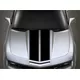 8 Inch Wide Pin Stripe Racing Stripe Decal / Sticker