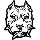 Pitbull Decal / Sticker 09