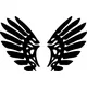 Wings Decal / Sticker 04