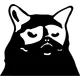 Cat Says No Decal / Sticker Meme