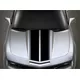 10 Inch Wide Racing Stripe Decal / Sticker