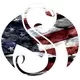 Strange Music American Flag Decal / Sticker 02