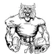 Football Wildcats Mascot Decal / Sticker 4