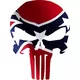 American Flag Punisher Decal / Sticker