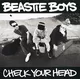 Beastie Boys Check Your Head Decal / Sticker 05