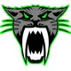 Arctic Cat Head Decal / Sticker 13 Green