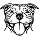 Pitbull Decal / Sticker 14