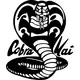 Cobra Kai Karate Kid Decal / Sticker 04