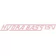 Glasstream Boats HydraBass 15V Decal / Sticker 02