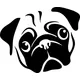 Pug Decal / Sticker 01