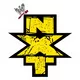 NXT Decal / Sticker 01