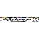 Sea Ray Pachanga 22 Decal / Sticker 10