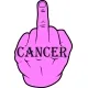 Pink Fuck Cancer Decal / Sticker 03