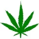 Pot Leaf Decal / Sticker