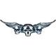 Silver Winged Skulls J1 Decal / Sticker