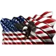 American Flag Eagle Waving Decal / Sticker 14