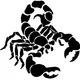 Scorpion Decal / Sticker 03