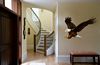 Eagle Wall Decals and Stickers